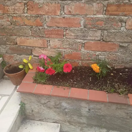 Rina - Old Town Apartament *