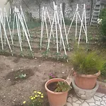 Apartman Rina - Old Town
