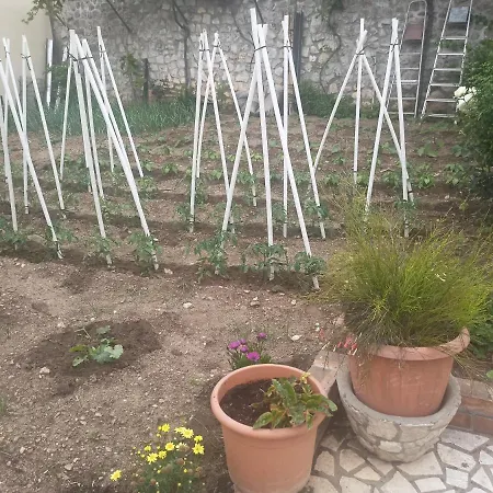 Appartamento Rina - Old Town