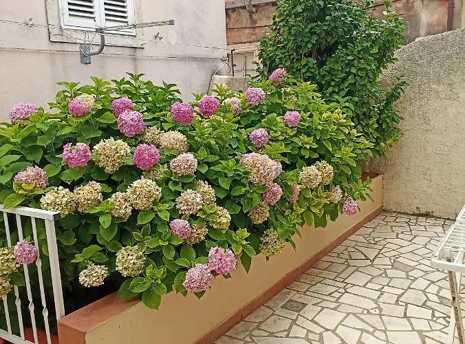 Lejlighed Rina - Old Town *