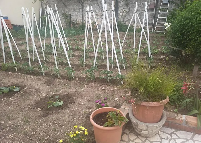 Lejlighed Rina - Old Town